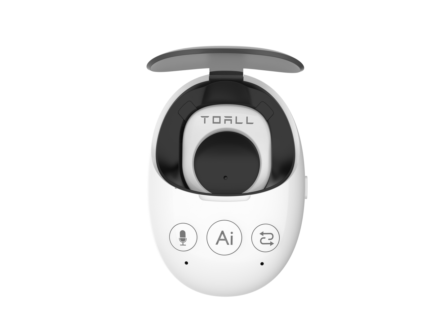 EchoEgg