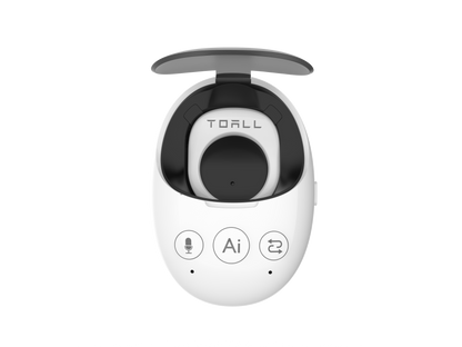 EchoEgg