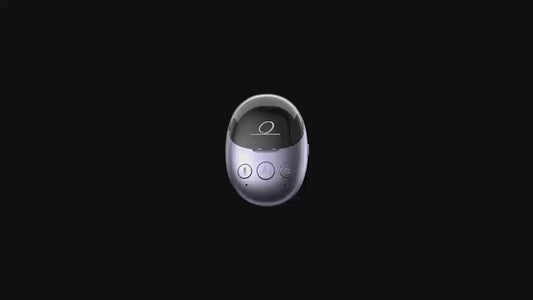 EchoEgg